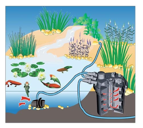 Set filtro a pressione per laghetti con funzione Spin Clean 11W UVC - Rikushop